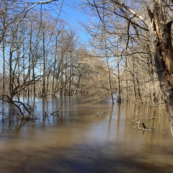 Lynches River County Park - Riverside - Parks Near Me - Coward, South Carolina Lynches River County Park - Riverside - Parks Near Me - Coward, South Carolina