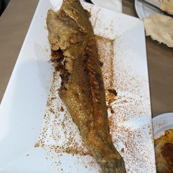 Abuqir Seafood - Bronzini - Mediterranean Near Me - Astoria, New York