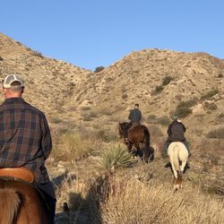 Coyote Ridge Stable