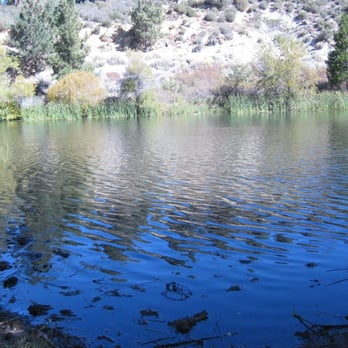 Jackson Lake - Fishing Near Me - Valyermo, California Jackson Lake - Fishing Near Me - Valyermo, California