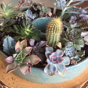 Fancy Plants - Nurseries & Gardening Near Me - Mooresville, Indiana