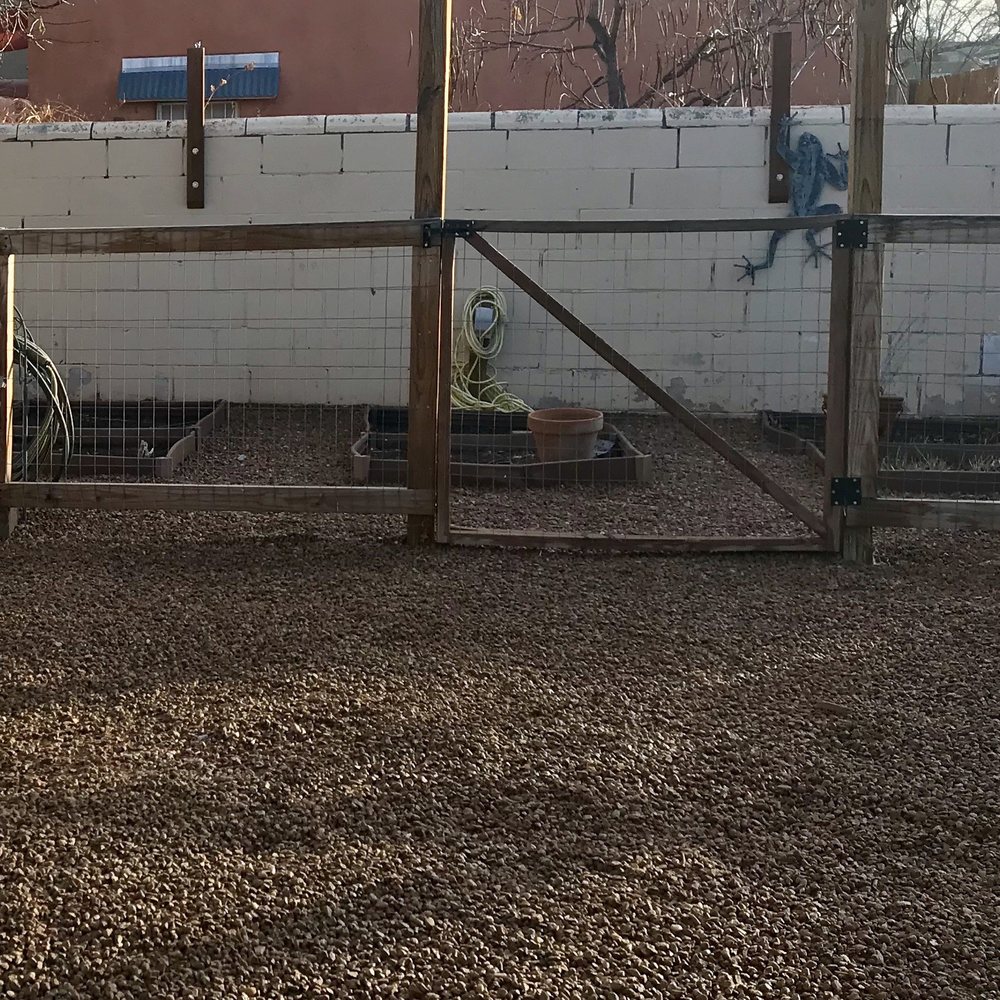 Part of our garden area and open area.