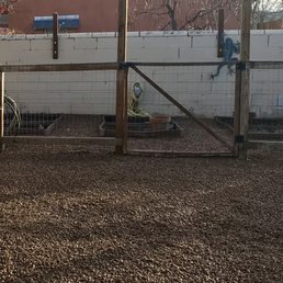 Part of our garden area and open area.