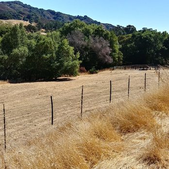 Las Trampas Regional Wilderness - Parks Near Me - San Ramon, California Las Trampas Regional Wilderness - Parks Near Me - San Ramon, California