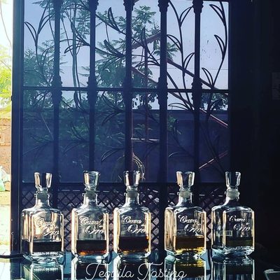 The Agave Experience by null