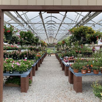 Black Forest Nursery Garden Center Nurseries Gardening Black Forest Nursery Garden Center