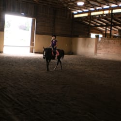 Lakeside Equestrian