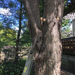 B & E Tree Service