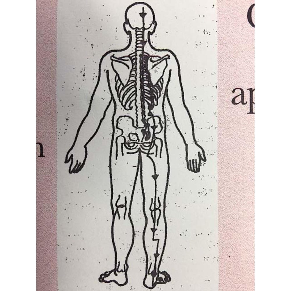 LANA’S MASSAGE THERAPY Updated October 2024 21 Plank Ave, Paoli