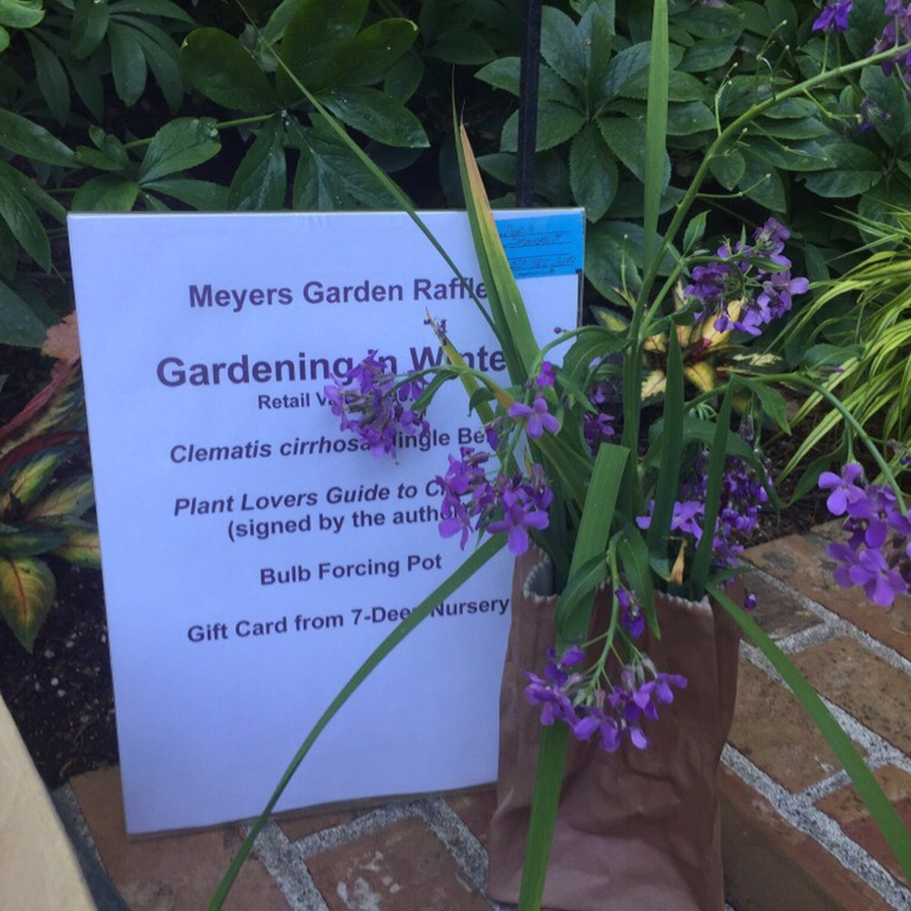 Rogerson Clematis Garden - Botanical Gardens Near Me - West Linn, Oregon