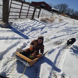 AH Farms - It's not all work at AH Farms! Snow means fun!!