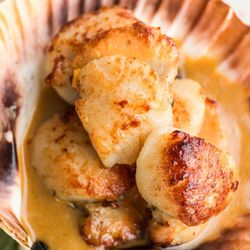 The Pickwick Inn - Local Seafood at The Pickwick Inn, pub, restaurant & rooms, Padstow