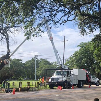 Treeco Tree Care - city park New Orleans - Tree Services Near Me - Kenner, Louisiana Treeco Tree Care - city park New Orleans - Tree Services Near Me - Kenner, Louisiana