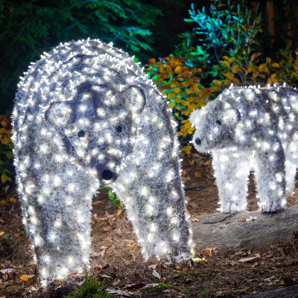 DM PANTRY Updated September 2024 25 Photos 2525 Dream More Way