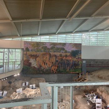 Waco Mammoth National Monument - Museums Near Me - Waco, Texas
