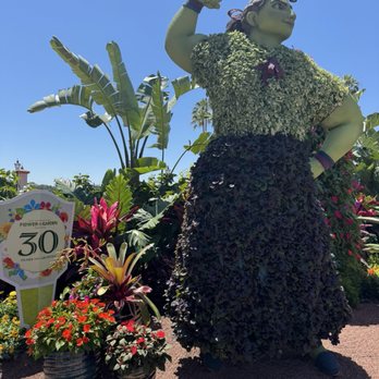 EPCOT - Flower - Amusement Parks Near Me - Lake Buena Vista, Florida EPCOT - Flower - Amusement Parks Near Me - Lake Buena Vista, Florida