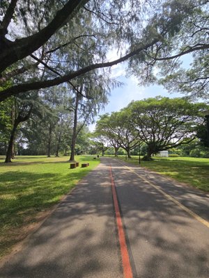 East Coast Park by null