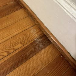 McKenzie Guest House - White mold under wall AC unit upstairs