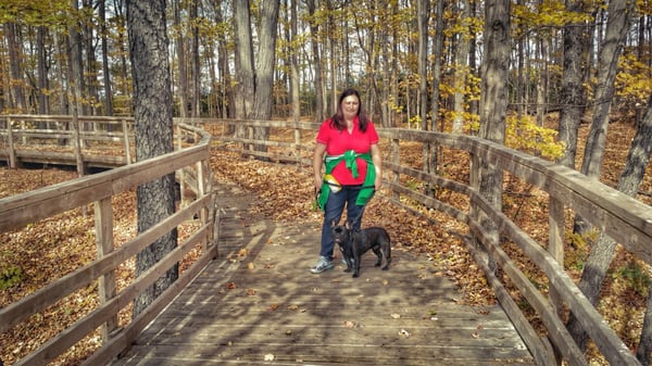 Island Lake Conservation Area by null