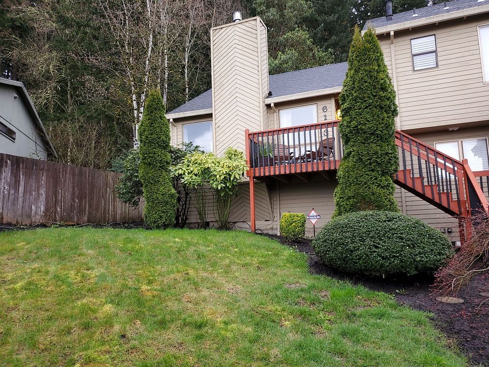 M PRUNING LANDSCAPING 22 Photos Beaverton, Oregon Landscape