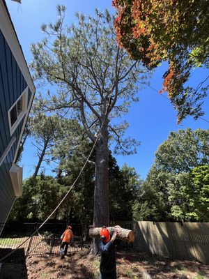 M&M Outdoor Services on Yelp