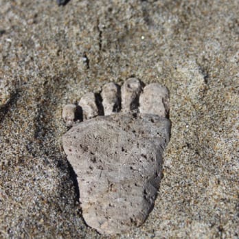 Lizardprints Reflexology - Reflexology Near Me - Berkeley, California