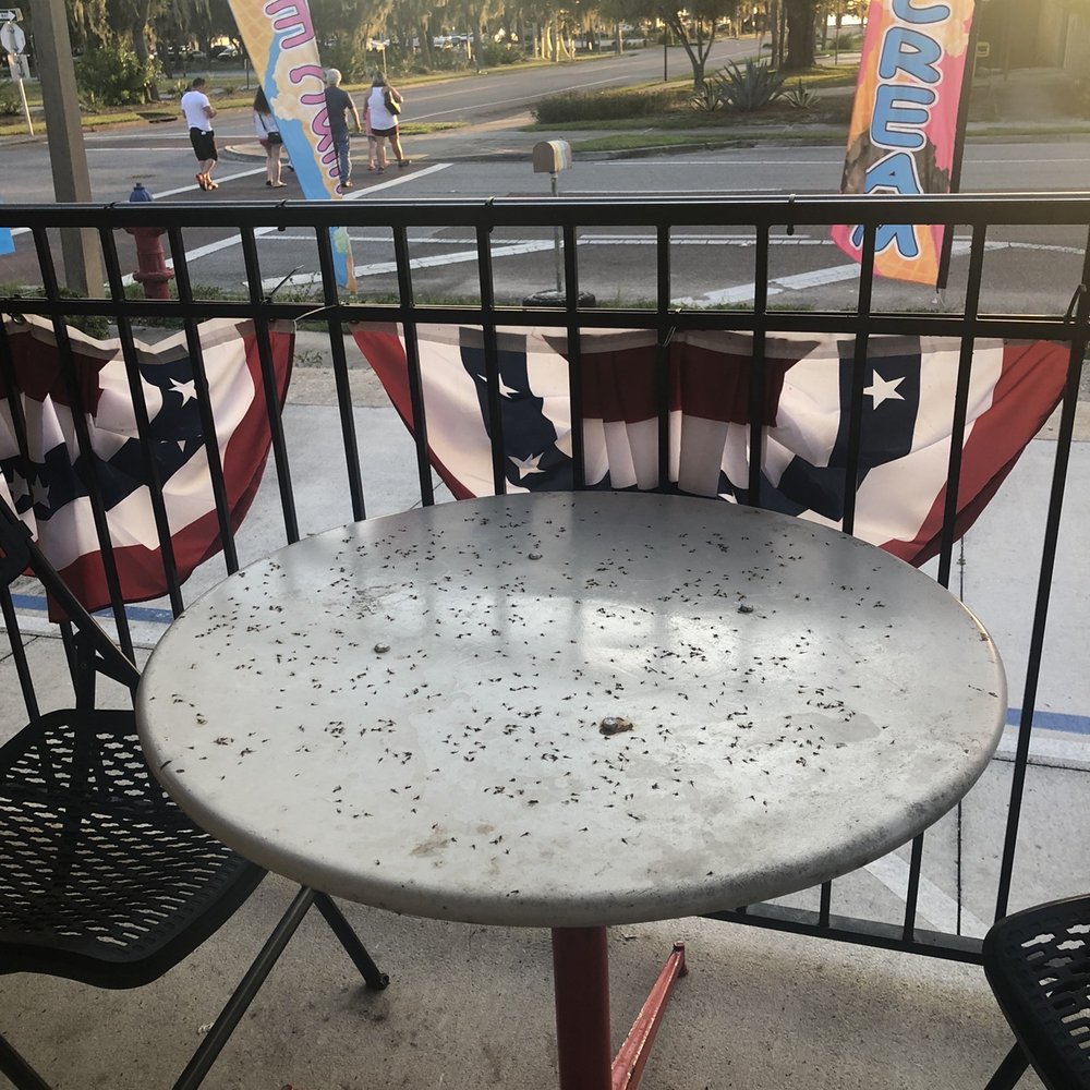 Lakeside Skoop - Nasty table - Ice Cream & Frozen Yogurt Near Me - Eustis, Florida Lakeside Skoop - Nasty table - Ice Cream & Frozen Yogurt Near Me - Eustis, Florida