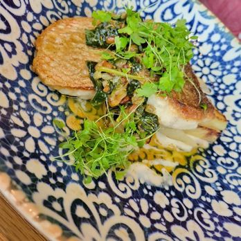 Marmo - Snapper - Italian Near Me - Houston, Texas
