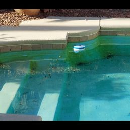Desert Blue Pool Service 45 days no pool service, will not respond to vm's.