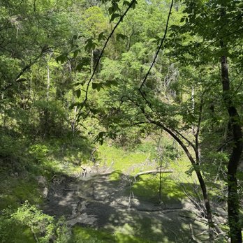 Devil's Millhopper State Geological Site - Parks Near Me - Gainesville, Florida Devil's Millhopper State Geological Site - Parks Near Me - Gainesville, Florida