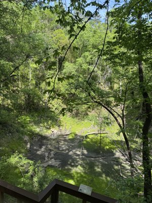 Devil's Millhopper Geological State Park by null