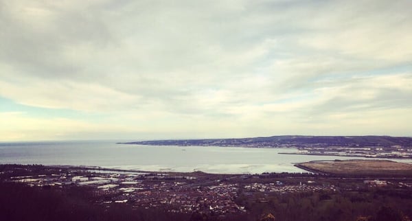 Cave Hill Country Park by null