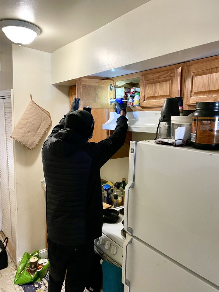 ELITE PEST CONTROL Updated August 2024 31 Photos & 12 Reviews Washington, District of