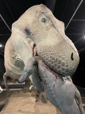 Discovery Center of Idaho by null