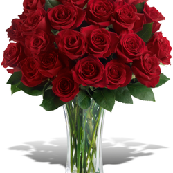 Sayville House of Flowers - Stunning display of Roses in a Vase
