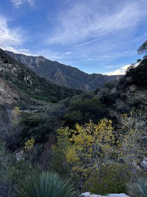 Trail Canyon Falls by null
