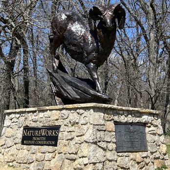 Turkey Mountain Wilderness Area - The Nature Walk Trails! - Hiking Near Me - Tulsa, Oklahoma Turkey Mountain Wilderness Area - The Nature Walk Trails! - Hiking Near Me - Tulsa, Oklahoma