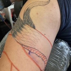 The unfinished tattoo that raven started