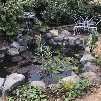 California Waterscapes - Netting I placed on the pond - Pool & Hot Tub Service Near Me - Sun Valley, California
