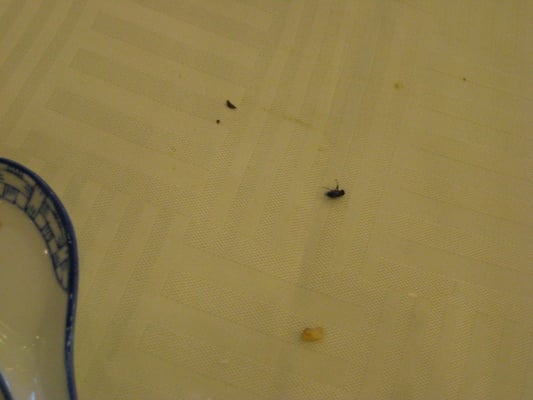 1463 Daisetta St by null