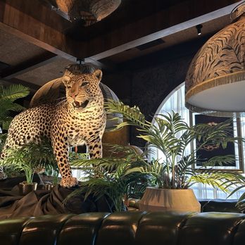 Filthy Animal - Interior decor - Cocktail Bars Near Me - Tempe, Arizona