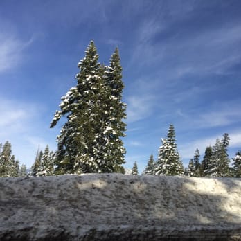 Apple 4th Street - Snow from Tahoe! - Mobile Phones Near Me - Berkeley, California