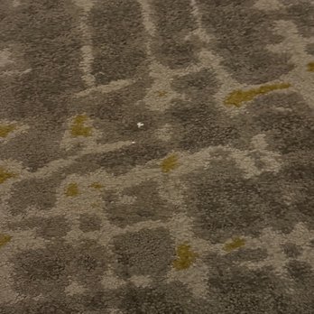 SpringHill Suites by Marriott Hartford Cromwell - 2 more chunks of broken glass in hallway - Hotels Near Me - Cromwell, Connecticut
