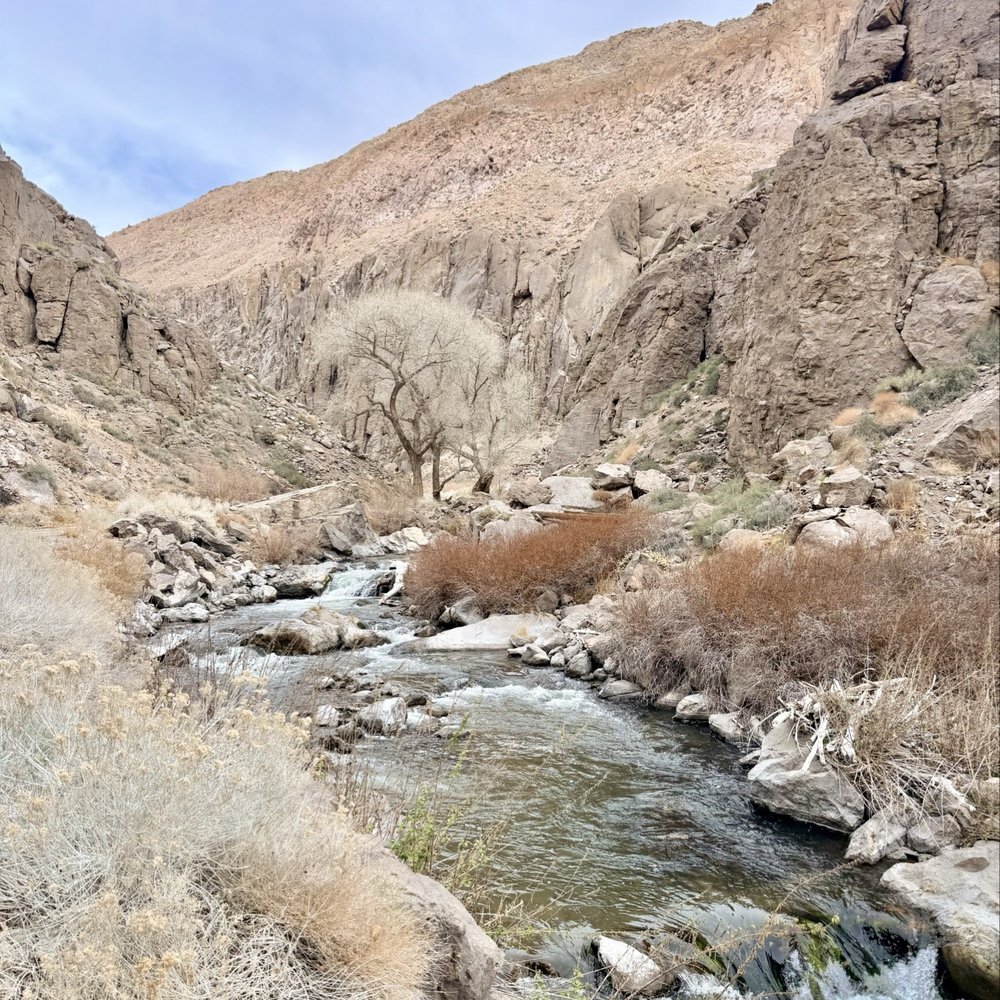 Owens River Gorge - Rock Climbing Near Me - Bishop, California Owens River Gorge - Rock Climbing Near Me - Bishop, California