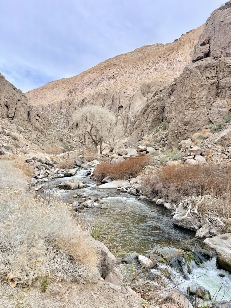 Owens River Gorge Logo
