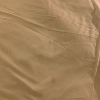Harrah's Laughlin - A Caesars Rewards Destination - Something brown on sheets.. Might be poop or blood or I don't even know.. Gross - Hotels Near Me - Laughlin, Nevada Harrah's Laughlin - A Caesars Rewards Destination - Something brown on sheets.. Might be poop or blood or I don't even know.. Gross - Hotels Near Me - Laughlin, Nevada