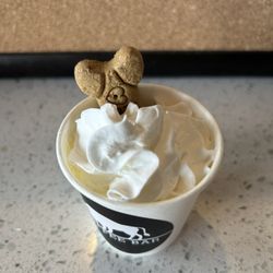 White Buffalo Coffee Bar - Pup cup - FREE!