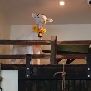The Goat's Beard - Goat decor, very cute - New American Near Me - Wayne, Pennsylvania The Goat's Beard - Goat decor, very cute - New American Near Me - Wayne, Pennsylvania