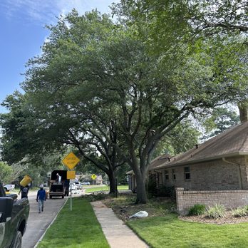 RF Tree Service - Tree Services Near Me - Houston, Texas
