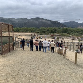 Ostrichland USA - Inside of the ranch (Sep 2023) - Attraction Farms Near Me - Solvang, California